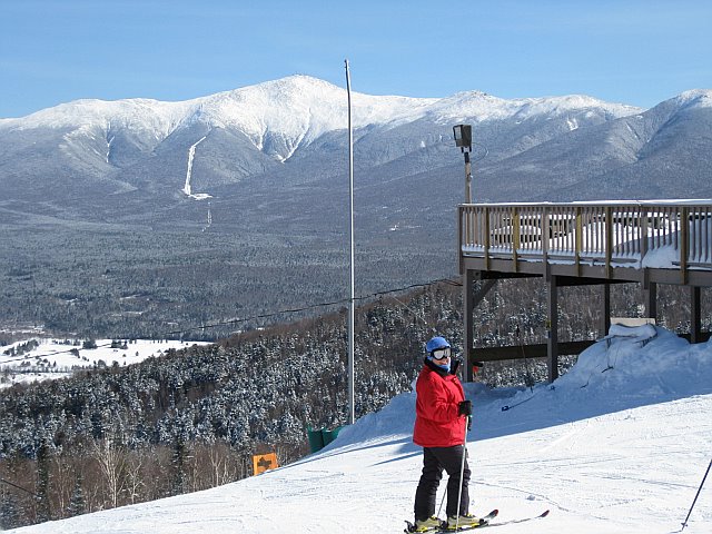 Ski-Bee skiing