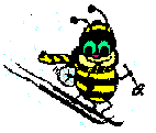 Ski-Bee Logo